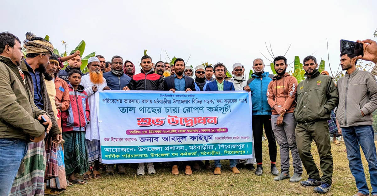 মঠবাড়িয়ায় রাস্তার দুই পাশে তালের চারা রোপণ, ইউএনও উদ্বোধন করলেন কার্যক্রম